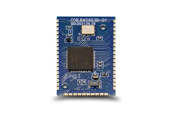 module bluetooth